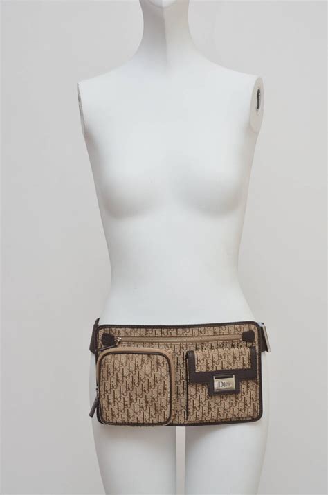 christian dior waist bag.